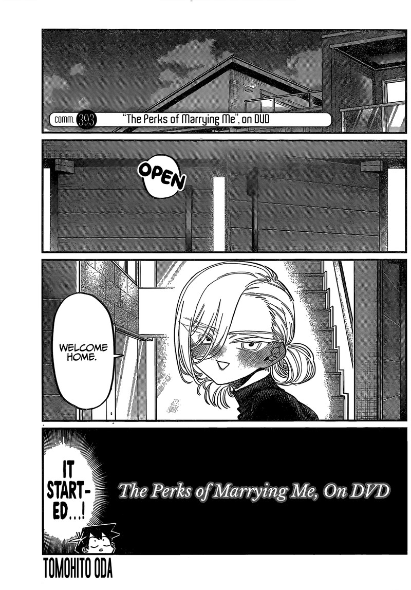 Chapter 393