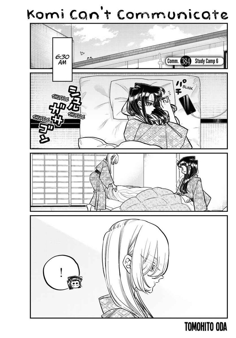 Chapter 384